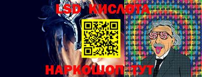 прущие грибы Будённовск