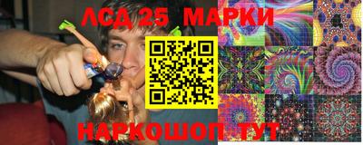 прущие грибы Будённовск