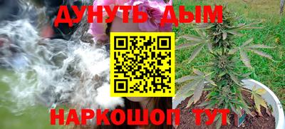 прущие грибы Будённовск