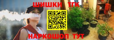 прущие грибы Будённовск