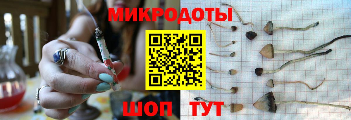 купить   Псилоцибиновые грибы Psilocybe  Псилоцибиновые грибы GOLDEN TEACHER  Вход с VPN  Спасск-Дальний 
